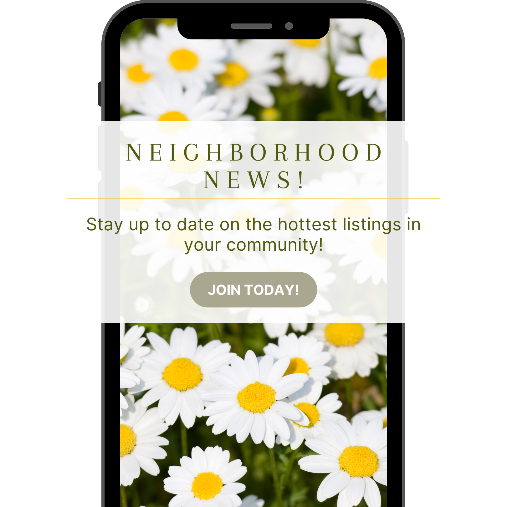 Ann Fox Neighborhood News